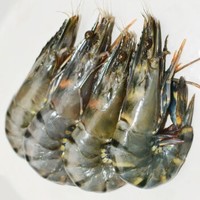 猫二郎 越南活冻特大黑虎虾 约850g(20尾 虾长约15cm) *2件