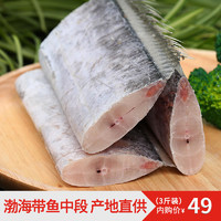 阿斌鲜生 冷冻渤海精选带鱼段1.5kg约20-30段 新鲜冷冻刀鱼段生鲜
