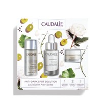 银联专享：CAUDALIE 欧缇丽 美白亮采三件套装（完美透白精华水 50ml+淡斑精华 30ml+亮白晚霜15ml）