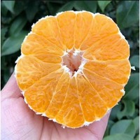 橘之恋情 不知火丑橘 10个左右（净重4.5-5斤）