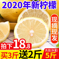 罗克珊 四川安岳柠檬 6斤  