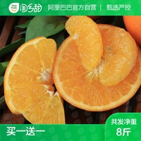 淘乡甜 广西武鸣沃柑 100g-125g/个 4斤