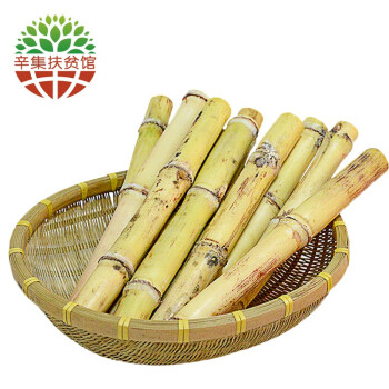 鑫民窑 广西白玉甘蔗  5斤