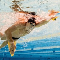 FINIS 斐尼斯 自由泳 1.05.020 手蹼