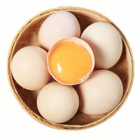  草帽熊  农家初产土鸡蛋 柴鸡蛋  30枚