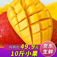 海南贵妃芒果红金龙新鲜水果十斤小果50枚