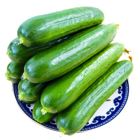 喃果鲜生荷兰瓜小黄瓜净重5斤