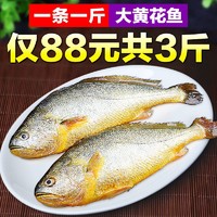 缤鲜  黄花鱼  0.5kg