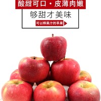 鲜姿 斗南苹果 新鲜应季苹果  2.5kg 95mm（含）以上