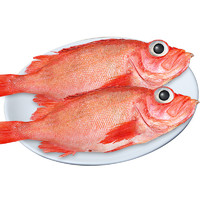 缤鲜 红石斑鱼冷冻  450g/袋