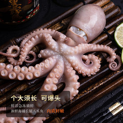 长腿八爪鱼大爆头八抓鱼海鲜水产鲜活乌贼墨鱼非即食熟食鱿鱼章鱼
