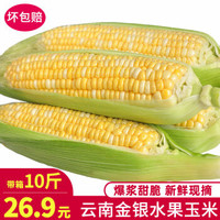 云南水果玉米 现摘新鲜玉米甜玉米棒可生吃甜脆爆浆 带箱10斤