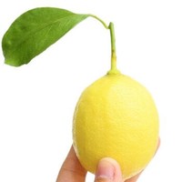 四川安岳黄柠檬果 新鲜水果 30个装小果 *2件