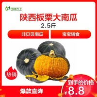 薯家上品 陕西板栗大南瓜2.5斤 新鲜蔬菜应季南瓜