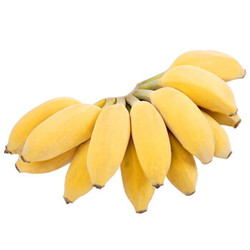 颐品鲜 天宝香蕉热带水果现割现发 5斤