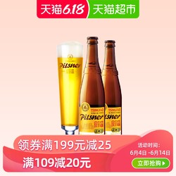 青岛啤酒皮尔森10.5全麦精酿450ml*12瓶欧洲夺奖高端新鲜礼盒装