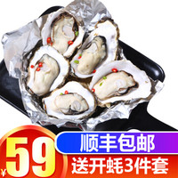 南泓村 乳山生蚝  生蚝鲜活  新鲜海蛎子 牡蛎 刺身生蚝2.5kg (A规格-约35个) *2件
