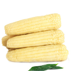 宇千 东北甜糯粘玉米 200g*8根