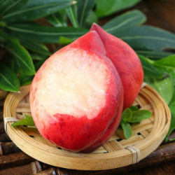 鲜之巅 新鲜水蜜桃大桃现摘现发 1斤装 *5件