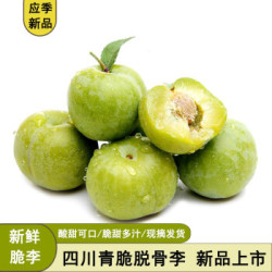 桃李村 四川脱骨李子 青脆李 现摘水果
