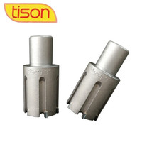 tison 钢轨空心钻头 硬质合金铁路用钻头 Φ27*25mm （1支）