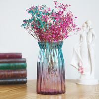 伊恩贝花瓶玻璃创意彩色透明水培花瓶小清新客厅插花摆件花瓶