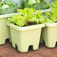 爱丽思（IRIS）果蔬种植盆树脂塑料花盆深型种菜盆阳台蔬菜盆种植箱 300绿色 盆+托套装