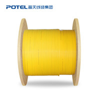 普天汉飞（POTEL）12芯网线单模室内光纤光缆 9/125 GJPFJV-12B1.3 100米束状软光缆 长度订制