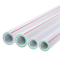 伟星 白色PPR水管 纤维复合冷热水管 饮用水管 质保50年 6分/25*3.5 20米（2米/根*10）