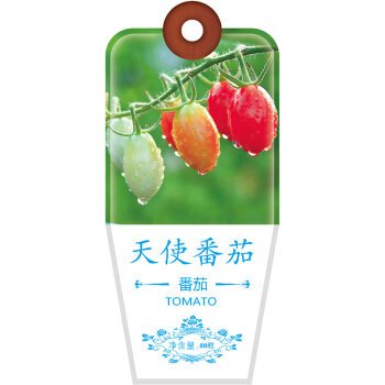DS 北京东升种业（DS）蔬菜种子西红柿天使番茄种子四季蔬菜 家庭阳台 庭院种植80粒/袋