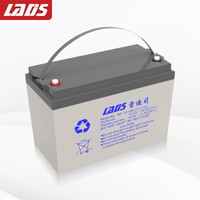 LADIS 雷迪司 100AH 铅酸免维护蓄电池 100AH 12V EPS 直流屏用