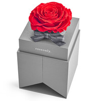 roseonly（诺誓）经典嫣红大盒 玫瑰永生花礼盒 同城鲜花速递礼品 教师节礼物 生日礼物 送女友