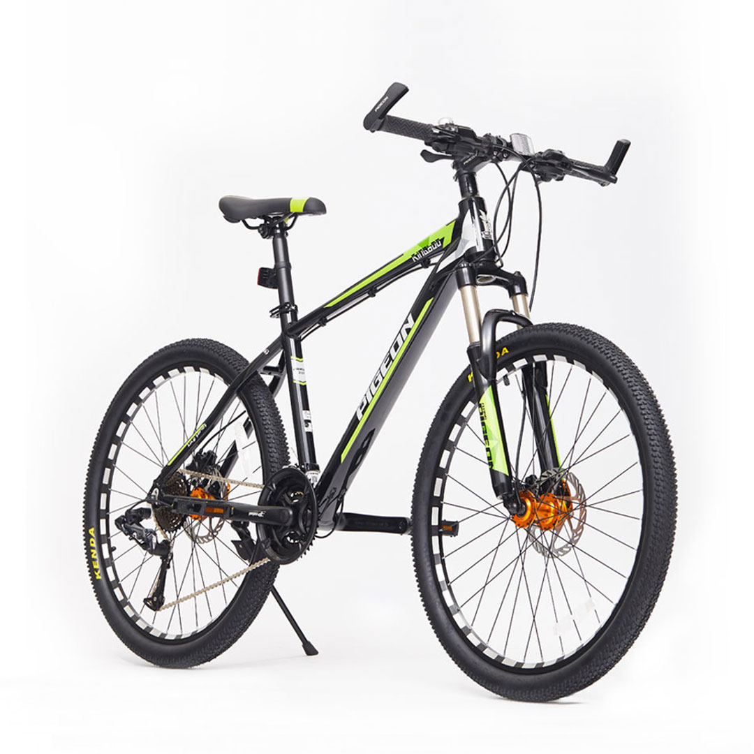 FLYING PIGEON 飞鸽 王道600 山地自行车