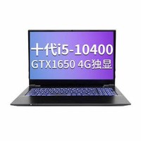 Shinelon 炫龙 DD3 16.1英寸游戏本（i5-10400、8GB、512GB、GTX1650、72％NTSC）