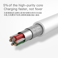 SAISKAI 赛士凯 iPhone 双Lightning口转接头