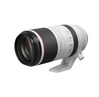 Canon 佳能 RF 100-500mm F4.5-7.1L IS USM 超遠攝定焦鏡頭 佳能RF卡口 77mm