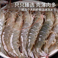 觅客 青岛海捕大虾 单只14cm 1500g