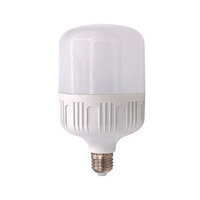 菲尼泰科（PHINITEC）led球泡灯 高富帅球泡灯 led E27平头款灯泡 工厂 办公室 照明节能灯 20W