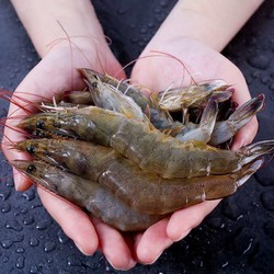 59元 秘鲁特大白虾40-50/4斤南美白虾海产冷冻虾类 秘鲁产 九善食品牌