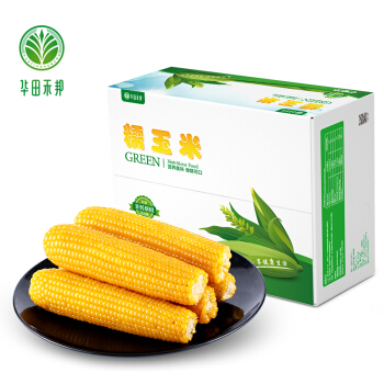 华田禾邦 精品 黄糯玉米棒 16根装 净重≥3.2KG 东北新鲜甜黏玉米粒 早餐小龙虾烧烤食材 产地直供 杂粮粗粮