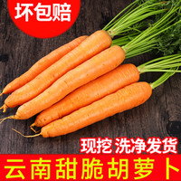 中鲜生 云南新鲜蔬菜水果胡萝卜生吃新鲜红脆甜心即食红黄萝卜 5斤装