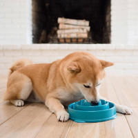 酷极狗狗慢食碗防噎食打翻狗碗狗盆大号大型犬小型猫食盆宠物狗盘