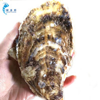 【活鲜】鲜多邦 乳山生蚝三倍体牡蛎 XL号2.5kg（约20-25个）海蛎子 冷水蚝火锅食材 贝类海鲜水产