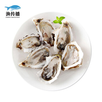 【活鲜】渔传播 FISHERY PROPAGATION 南非进口鲜活刺身生蚝 90-100g 6只 1份 盒装 海鲜水产 火锅食材 赠芥末酱油包