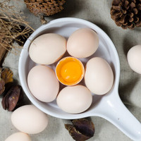 三潮友 初生鲜鸡蛋 20枚装约700g +凑单品