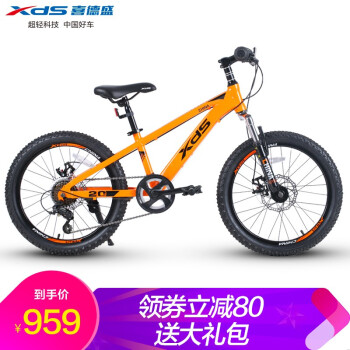 XDS 喜德盛 中国风 儿童自行车