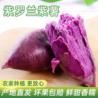 紫罗兰紫薯 新鲜农家自产紫心地瓜 5斤