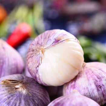 华田禾邦 华田禾邦蒜