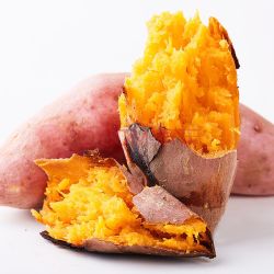 农家沙地番薯 黄心蜜薯 10斤