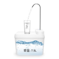桶装水抽水器袋装水抽水双泵出水电动饮水机袋装水专用饮水设备
